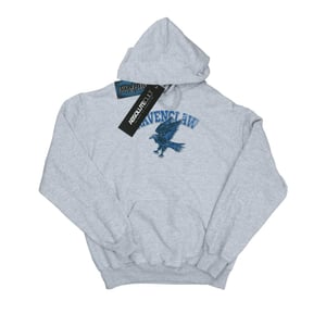 Harry Potter Jongens Ravenclaw Katoenen Hoodie (Sportgrijs)