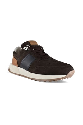 Tod’s Sneakers Bruin