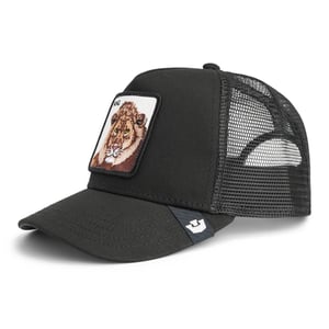 Goorin Bros. Pet
