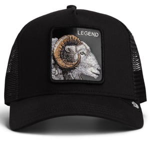 Goorin Bros. Pet