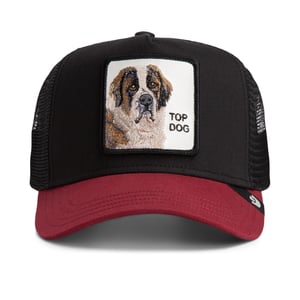 Goorin Bros. Pet