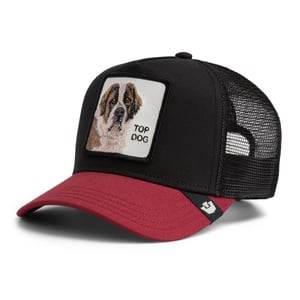 Goorin Bros. Pet