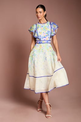 Placement Print Frill Sleeve Midi Dress