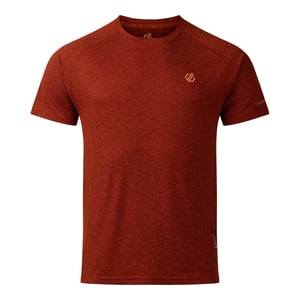 Dare 2B Heren Persist Marl T-shirt (Arabische kruiden)