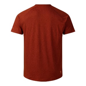 Dare 2B Heren Persist Marl T-shirt (Arabische kruiden)