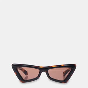 Accessories Off White Off Artemisia Sun in Havana Brown