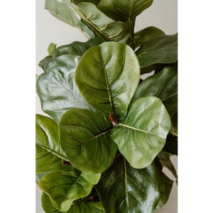 Indore Home Indore silva kunstplant vijg 90cm