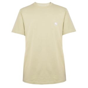 Men's Pretty Green Regular Fit Crew Neck T-Shirt in Pastel Green