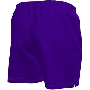 Men's Nike Swim Shorts Mens in Court Purple