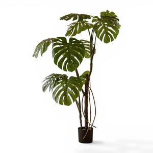 Indore Home Monstera kunstplant van 160 cm als stijlvolle aanvulling in middelgrote
