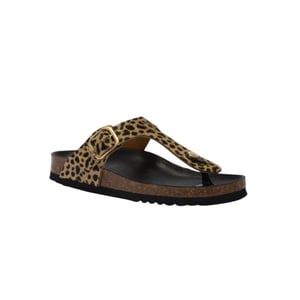 Scholl Anais slippers f00629