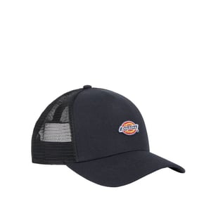 Dickies Muts/pet dk0a4yv3l441