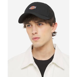 Dickies Muts/pet dk0a4yv3l441