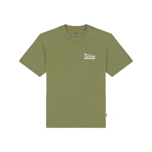 Dickies T-shirt korte mouw dk0a88jvk721