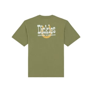 Dickies T-shirt korte mouw dk0a88jvk721