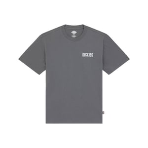 Dickies T-shirt korte mouw dk0a88qoch01