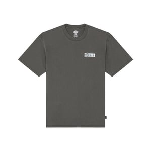 Dickies T-shirt korte mouw dk0a883bblk1