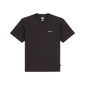Dickies T-shirt korte mouw dk0a89enblk1