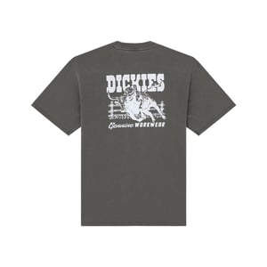 Dickies T-shirt korte mouw dk0a883bblk1