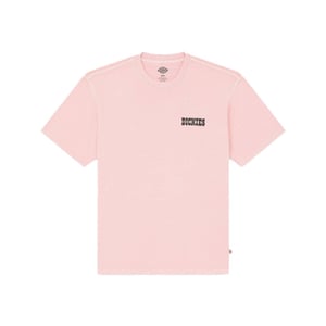 Dickies T-shirt korte mouw dk0a883bl471