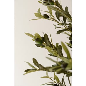 Indore Home Olijfboom kunstplant van 190 cm voor een rustige en mediterrane woonstijl