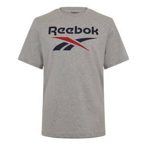 Men's Reebok Identity Big Sn99 in Mgreyh/Vecnav