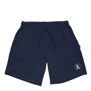 Men's Aquascutum Shorts in   Navy