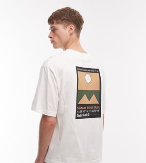 Timberland oversized berg geo-print t-shirt i svart