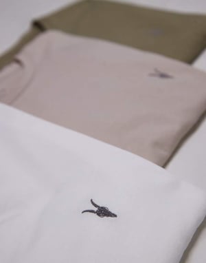 AllSaints Tonic crew t-shirt 3-pack i vitt, brunt och grönt