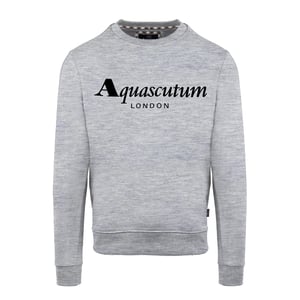 Men's Aquascutum Roundnk S in Grey