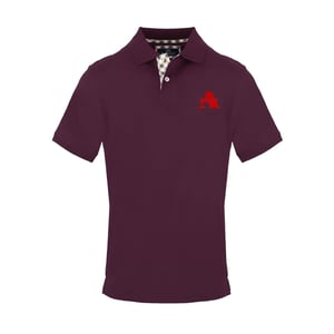 Men's Aquascutum Collared Neck Short Sleeve Polo Shirt in Red