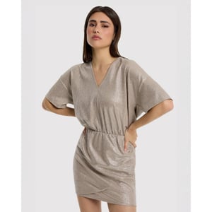 Alix The Label Shiny dress