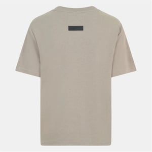 Women's Blank Essentials Oversize Fit Crew Neck Ribbed Collar Boyfriend T-Shirt in Eucalyptus