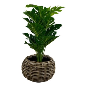 WDMT Bolvormige drypot rotan plantenmand – Ø 45 x 34 cm – waterdichte binnenpot –