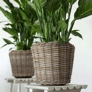WDMT Grijze rotan plantenmand – Ø 45 x 47 cm – waterdichte binnenpot – grijs