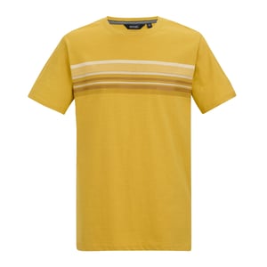 Regatta Heren Rendro T-Shirt (Ceylon Geel)
