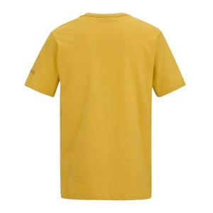 Regatta Heren Rendro T-Shirt (Ceylon Geel)