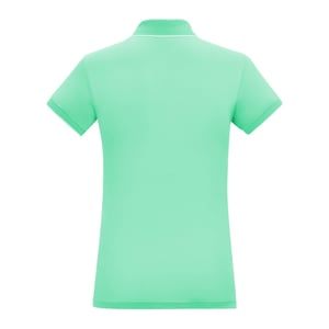 Regatta Dames/dames Remex II Polo Hals T-Shirt (Ijsgroen Solid)