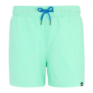 Regatta Heren Mawson II Zwemshort (Ijsgroen/Sonisch Blauw)