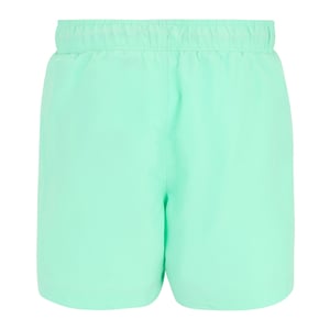 Regatta Heren Mawson II Zwemshort (Ijsgroen/Sonisch Blauw)