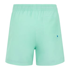 Regatta Skander Zwemshort Kinderen/Kinderen (Ijsgroen/Sonisch Blauw)