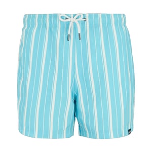 Regatta Mens Loras Stripe Swim Shorts (Nordic Blue/White)