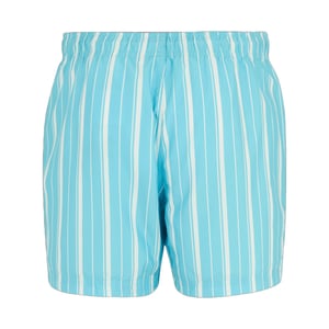 Regatta Mens Loras Stripe Swim Shorts (Nordic Blue/White)