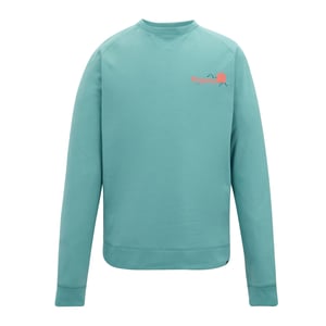 Regatta Sweatshirt med ryggtryck från Nithsdale för herrar (Arktisk grön)