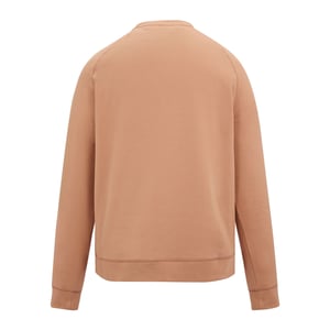 Regatta Mens Mountain Sweatshirt (Italian Clay)