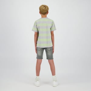 Raizzed Oregon grey denim