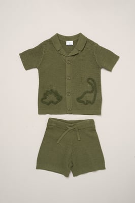 Dinosaur Embroidered True Knit Stripe Shirt and Shorts