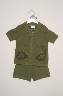 Dinosaur Embroidered True Knit Stripe Shirt and Shorts