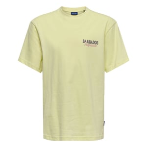 Only & Sons T-shirt 22038413 osjmalik