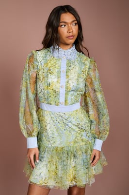 Collared Printed Mesh Mini Dress